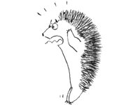 h6.gif