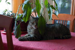DSC_2718.jpg