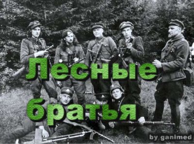 Лесные братья.jpg