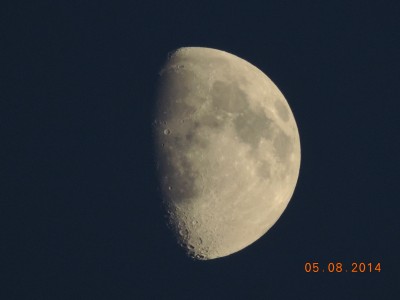 DSCN1464.JPG