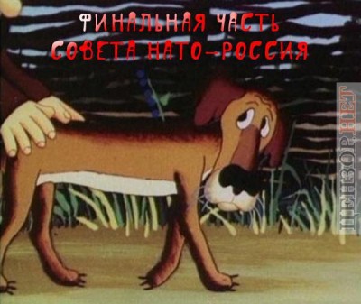 aa14e3bfd92df50ba0b2.jpg