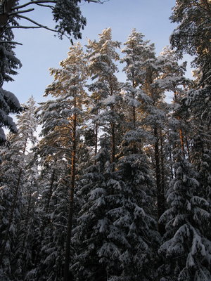 IMG_6937.JPG
