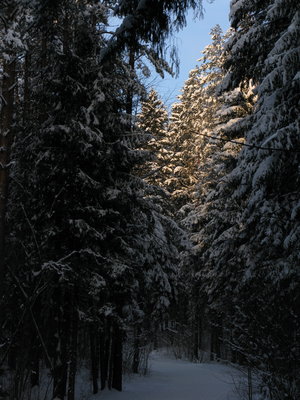 IMG_6934.JPG