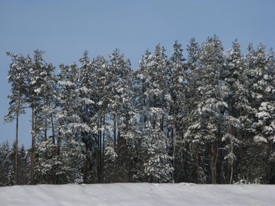 IMG_6923.JPG