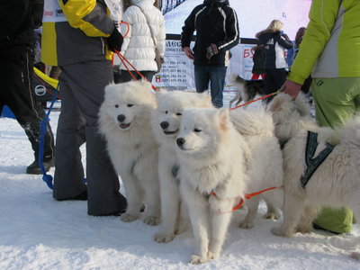 IMG_6895.JPG