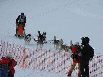 IMG_6845.JPG