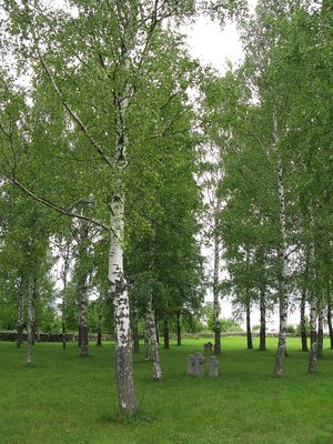 100_9142.jpg