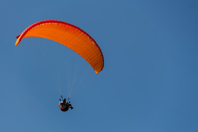IMG_1267.jpg