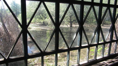 IMG_0005.JPG