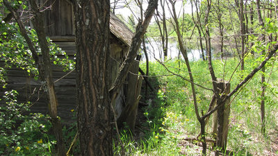 IMG_1216.jpg