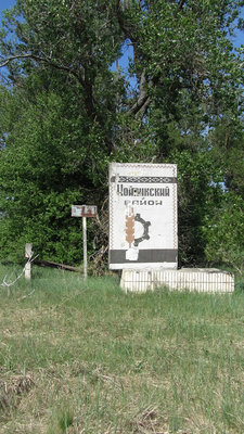 IMG_1385.jpg