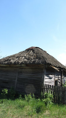 IMG_1387.jpg