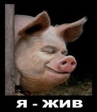 ljhljkk.jpg