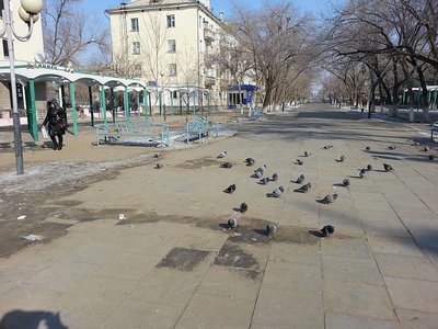 Image5.jpg