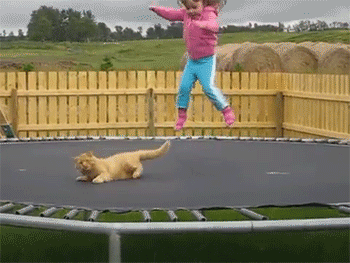 1410572139_ng0203sx.gif