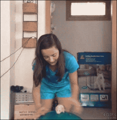 1415504390_ihrpsodn.gif