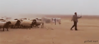 1430632422_original-7.gif